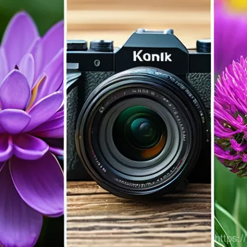 경제학적 평가 방법 - Here are three detailed image prompts in English, adhering to all the specified guidelines: