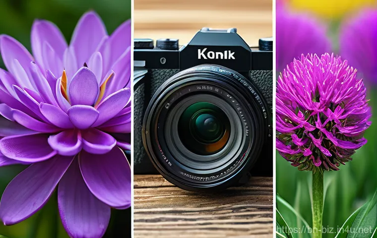 경제학적 평가 방법 - Here are three detailed image prompts in English, adhering to all the specified guidelines: